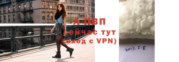 стафф Алексин