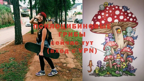 метамфетамин Алексеевка