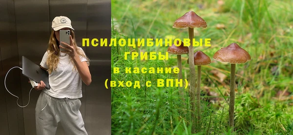 стафф Алексин
