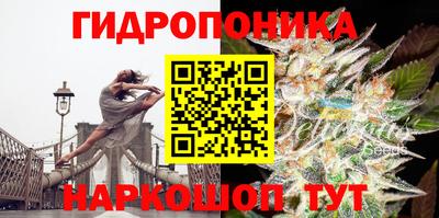 гидропоника Нальчик